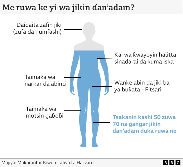 Wannan zane na nuna muhimman ayyukan da ruwa ke yi.