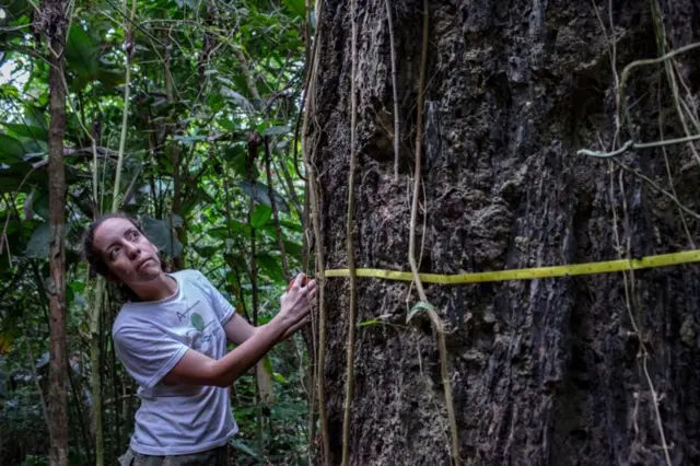 Erika Berenguer na Amazônia