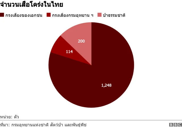 Tiger population in Thailand