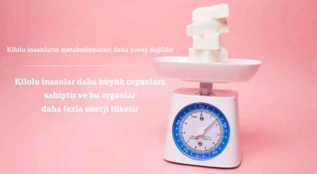 Bir terazinin olduğu fotoğrafta, "Şişman insanların metabolizmaları daha yavaş değildir. Ağır insanlar daha büyük organlara sahiptir ve bu organlar daha fazla enerji tüketir" yazıyor.