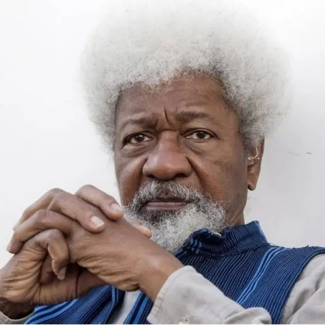 Ọjọgbọn Wole Soyinka