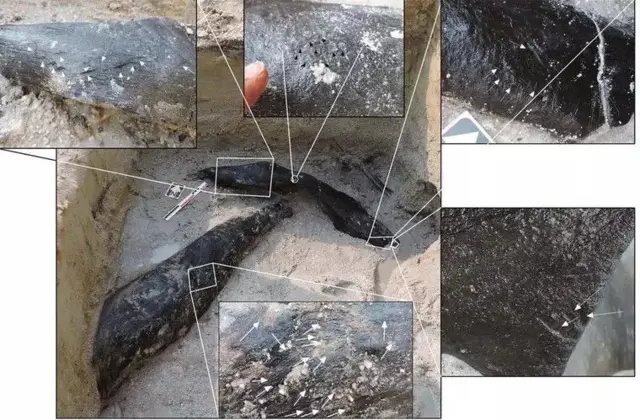 Après avoir été analysés par des scientifiques, certains signes ont montré qu'ils avaient été travaillés par des hominidés à l'aide d'outils en pierre.