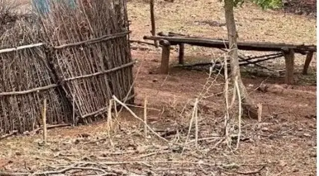 
প্রতারণা করে ঘন জঙ্গলে নিয়ে আসা হতো মেয়েদের। 