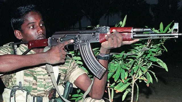 टाइगर्स 