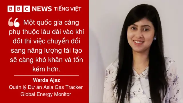 Vietnam's gas projects