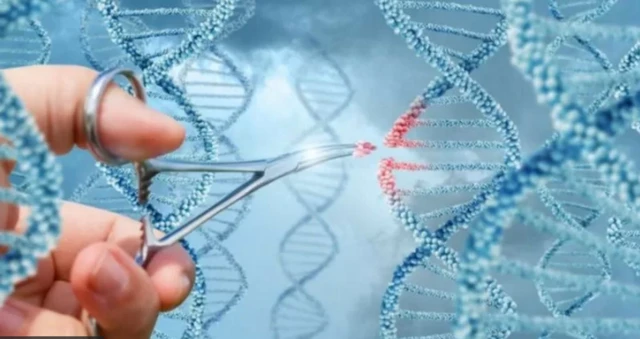 CRISPR, barnaamijka injineernimada hidaha