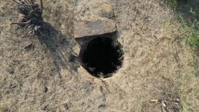 ஹரப்பா நாகரிகம் 