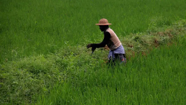 மக்களவைத் தேர்தல் 