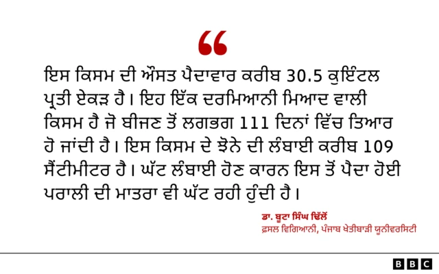 ਝੋਨਾ