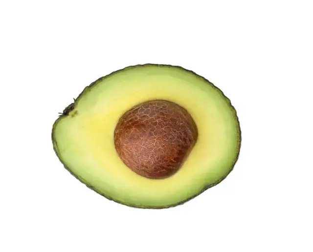 پھل