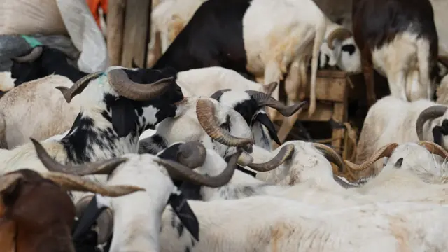 Raguna a kasuwar Dei-dei