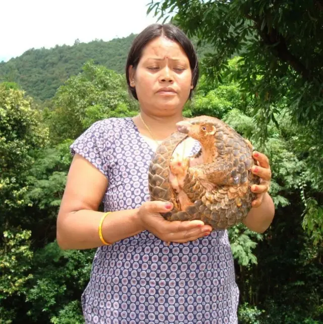 تلسی کہتی ہیں کہ جنگلوں میں آگ کی وجہ سے شکار ہوتا ہے