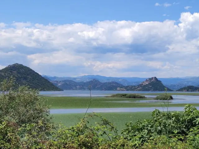 Скадарско језеро