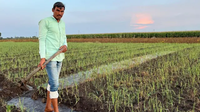 शेतकरी एकनाथ कवडे यांनी नुकतीच लाल कांद्याची लागवड केलीय.