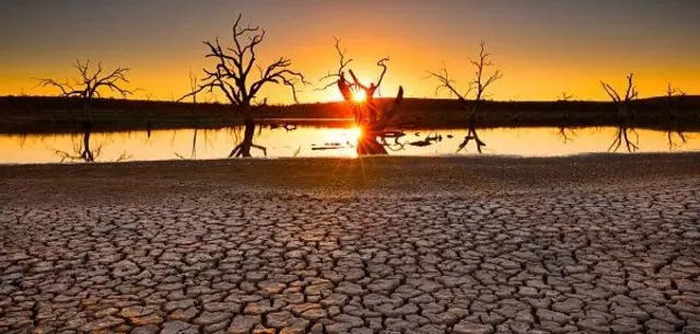 ਸੋਕਾ ਮਾਰੀ ਧਰਤੀ