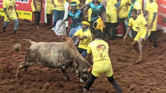 அலங்காநல்லூர் ஜல்லிக்கட்டு