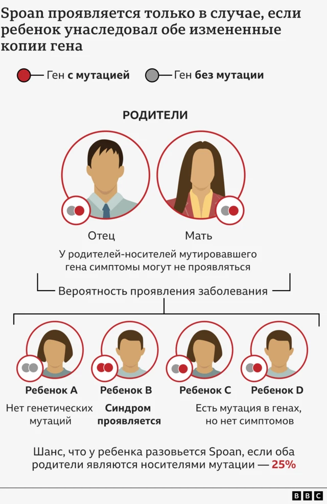 Графика, показывающая вероятность возникновения симптомов у детей родителей, обладающих мутировавшими генами.