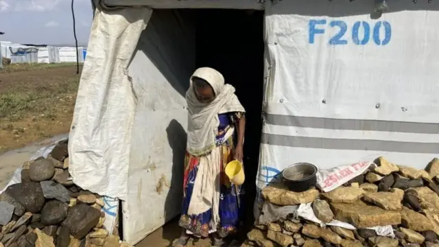 ኣብ ትግራይ፡ ብሰንኪ እቲ ኣብ ወርሒ ሕዳር 2020 [ኣ.ኤ] ዝተወልዐ ኲናት ሓድሕድ ኢትዮጵያ ካብ ቤት ንብረቶም ዝተመዛበሉ ነበርቲ መንግስታት ክልልን ፈደራልን ቈላሕታ ክገብሩሎም ክሓቱ ጸኒሖም'ዮም።