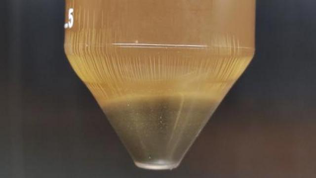 A técnicacomo jogar no futebol virtual bet365separação das bactérias dos resíduos alimentares 