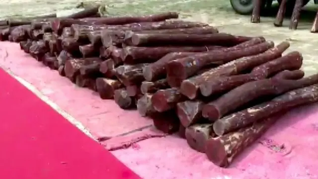 रक्तचंदन