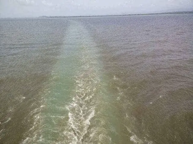 ၂၀၁၈ ခုနှစ်က တွေ့ရတဲ့ သံဇစ်မြစ်ရေပြင်ပေါ်မှာ သုံးမိုင်လောက် ရှည်တဲ့ အညိုကွက်ကြီး