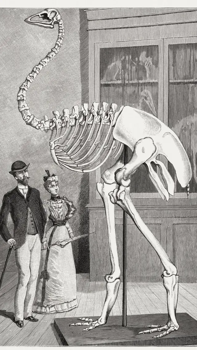 இயற்கை அதிசயம்: கடலுக்குள் புதைந்திருக்கும் உலகின் எட்டாவது கண்டம் - விலகாத மர்மங்கள்