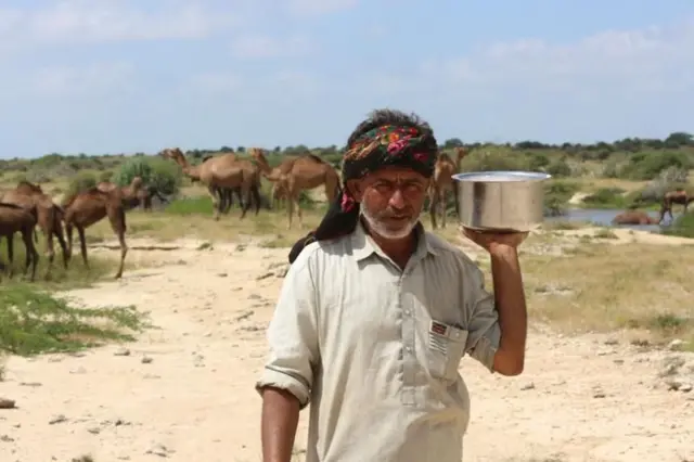 उंटाच्या दुधात गायीच्या दुधापेक्षा तीन ते पाच पट जास्त व्हिटॅमिन सी असते.