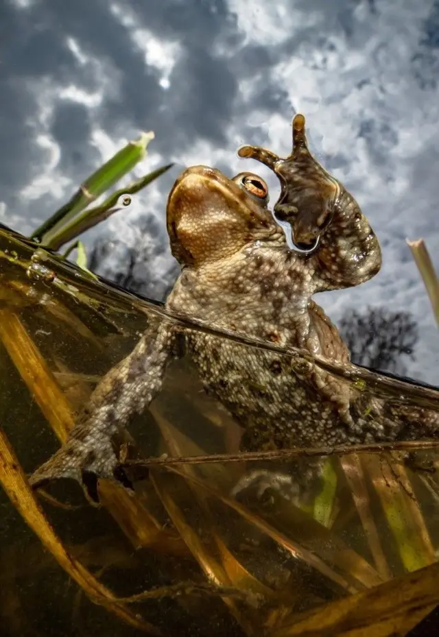 ‘ሰማይ ሰማይሲ ይትረፍክን፡ ምድሪ ምድሩ ይባርኸልክን’ - ብኤንሪኮ ሶሞጂ ተሳኢላ ኣብ ውድድር ኣሳእል ትሕቲ ማይ ዝቐረበት እያ።