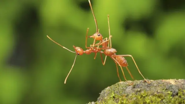 ‘ጃክን ሮዝን ኣብ ታይታኒክ ፊልም’