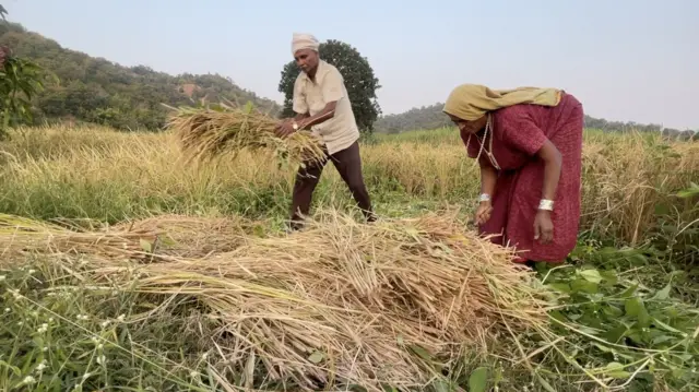આદિવાસી