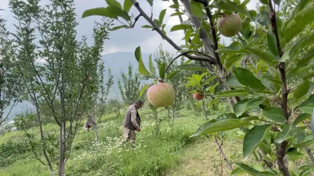 ਹਿਮਾਚਲ ਪ੍ਰਦੇਸ਼