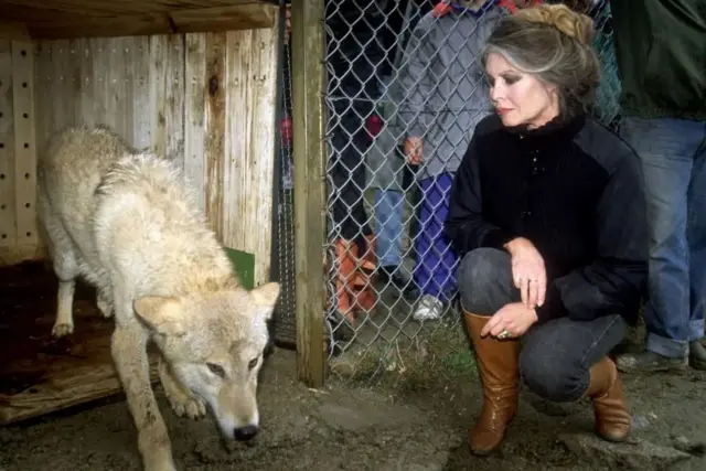 بریژیت در کنار یک سگ