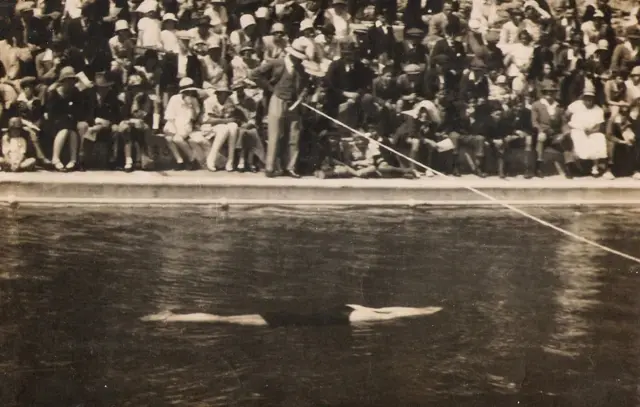 ที่จริงแล้วการพุ่งหลาวไกลในน้ำทำได้ยากอย่างไม่น่าเชื่อ แม้จะดูเหมือนว่านักกีฬาแค่แสร้งทำเป็นหลับบนผิวน้ำเท่านั้น