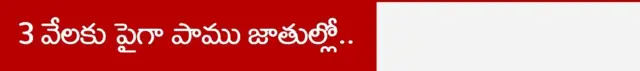 3 వేలకు పైగా పాము జాతుల్లో