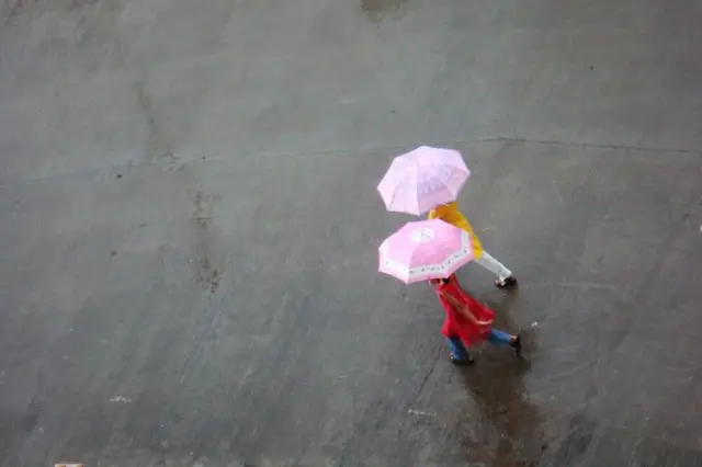 ગુજરાતના કયા વિસ્તારોમાં પડશે ભારેથી અતિભારે વરસાદ?