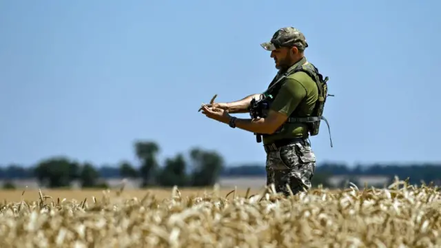 Buğday tarlasında asker