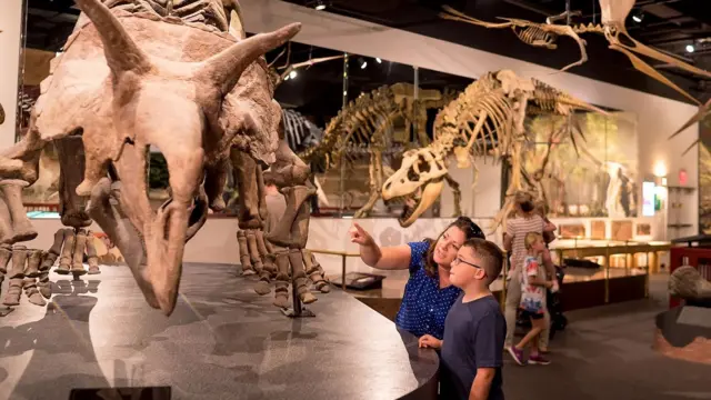 Mulher e criança vendo fósseisdinossaurosmuseu