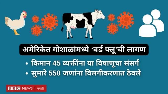 बर्ड फ्लू