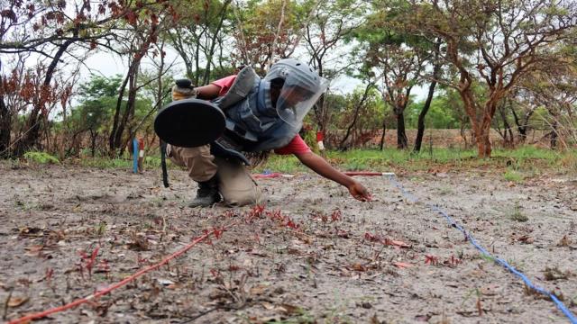 La démineuse Joaquina en action