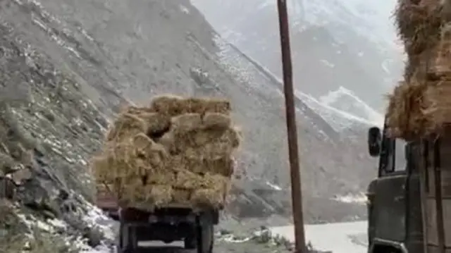 Малчыларга ташылып бара жаткан чөп