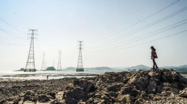 海洋能原厂