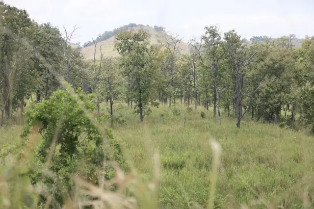 කහල්ල රක්ෂිතයේ ඡායාරූපයක්