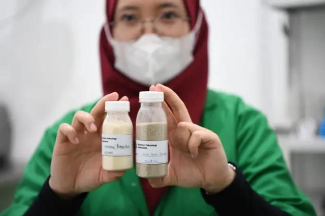 susu ikan dan minyak ikan kod