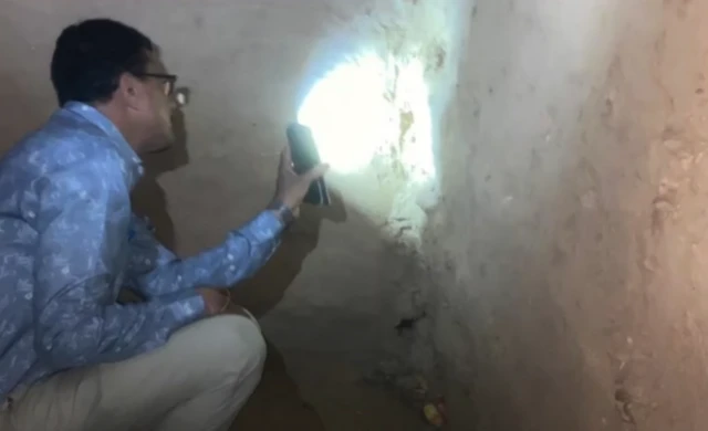 చాందీపుర వైరస్, గుజరాత్ 