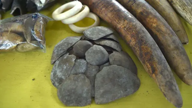 கடத்தல்காரர்களின் புதிய உத்திகள் - தொடரும் வனவிலங்கு கடத்தல் சம்பவங்கள்