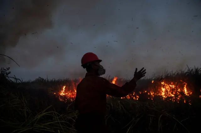 Petugas dari Manggala Agni Daops Sumatera XIV-Banyuasin berusaha memadamkan kebakaran lahan di Desa Arisan Jaya, Pemulutan Barat, Ogan Ilir (OI), Sumatera Selatan, Senin (3/8/2026). Petugas dari Manggala Agni Daops Sumatera XIV-Banyuasin dibantu warga masih berupaya memadamkan kebakaran lahan di daerah tersebut. 