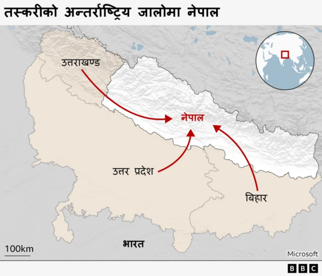 गाईगोरु तस्करीको चक्र