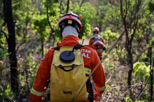 Bombeiro de uniforme laranja caminhando na floresta