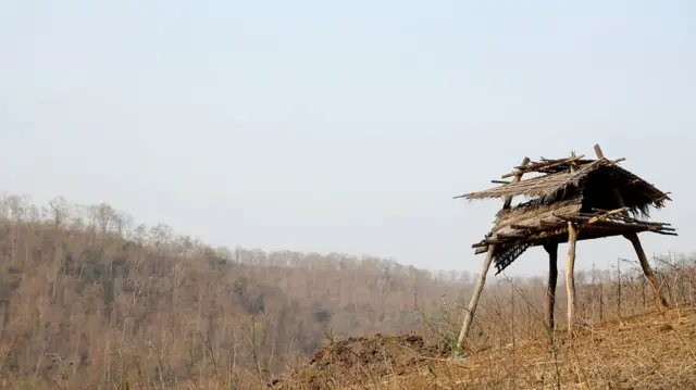 పోడు భూములు