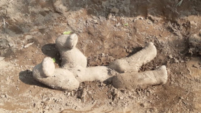 Ni mara ya kwanza kwa tembo kurekodiwa wakifunika miili ya watoto wao kwa udongo.